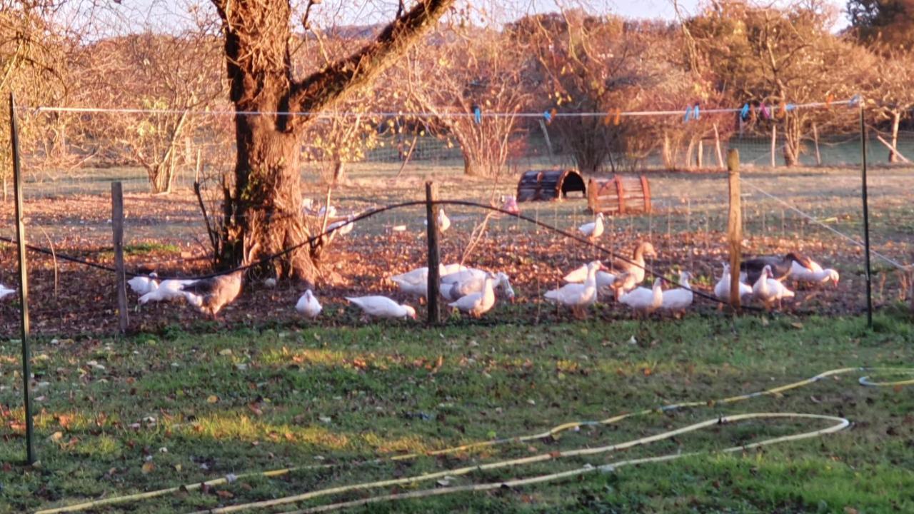 Grande Maison Avec Jardin, Animaux,Au Calme Yviers Exterior photo